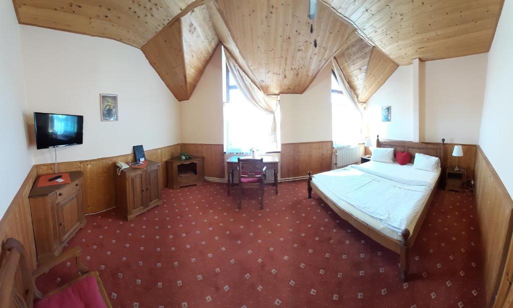 TV a/nebo společenská místnost v ubytování garni Hotel ASAS***