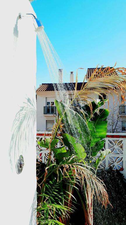 The building in which a szállodákat is located