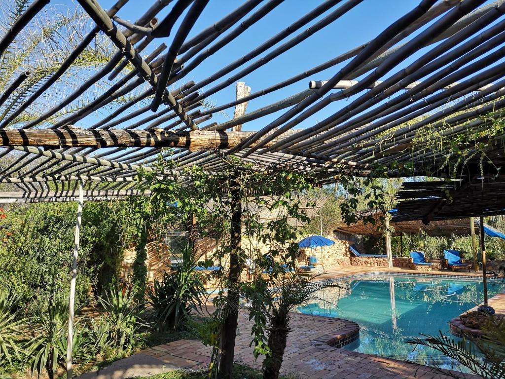 a wooden pergola next to a swimming pool at Amber Lagoon Backpackers Lodge in Vleirivier