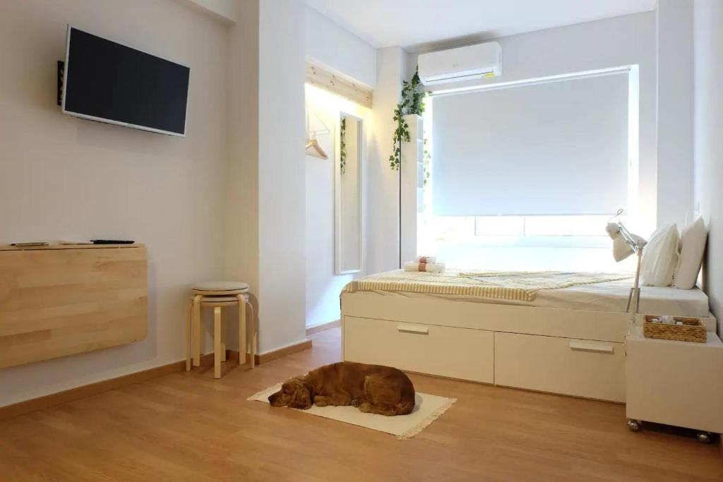 a brown dog laying on a rug in a bedroom at Kinfeels' downtown apartment B1 in Larisa