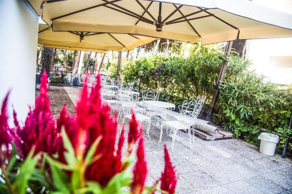 Zahrada ubytování Hotel Roxy