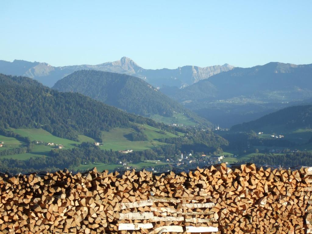 un cumulo di legna da ardere in cima a una montagna di Haus Adlerhorst a Sulzberg