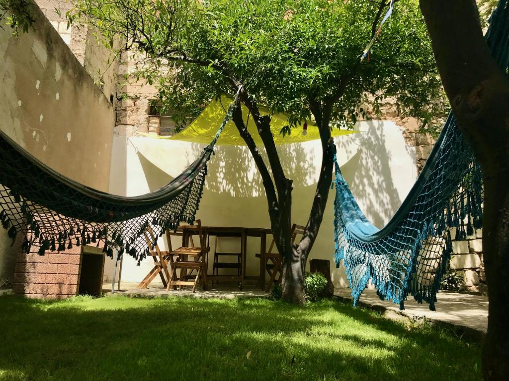 Zahrada ubytování Boipeba Guesthouse