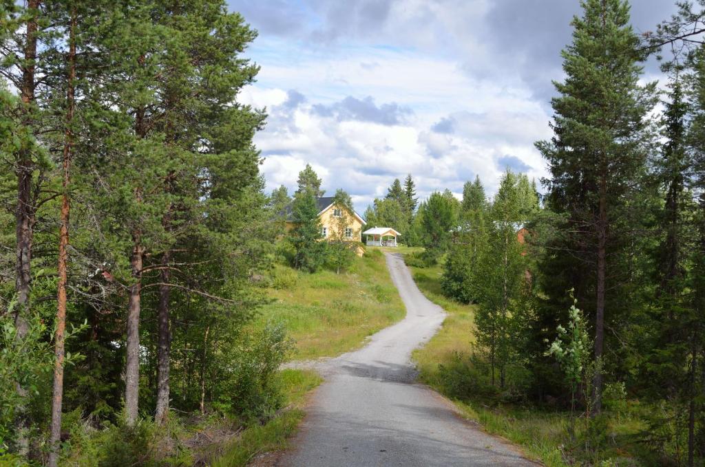 una carretera en medio de un bosque con una casa en Sänkelä Cottage en Lämsä