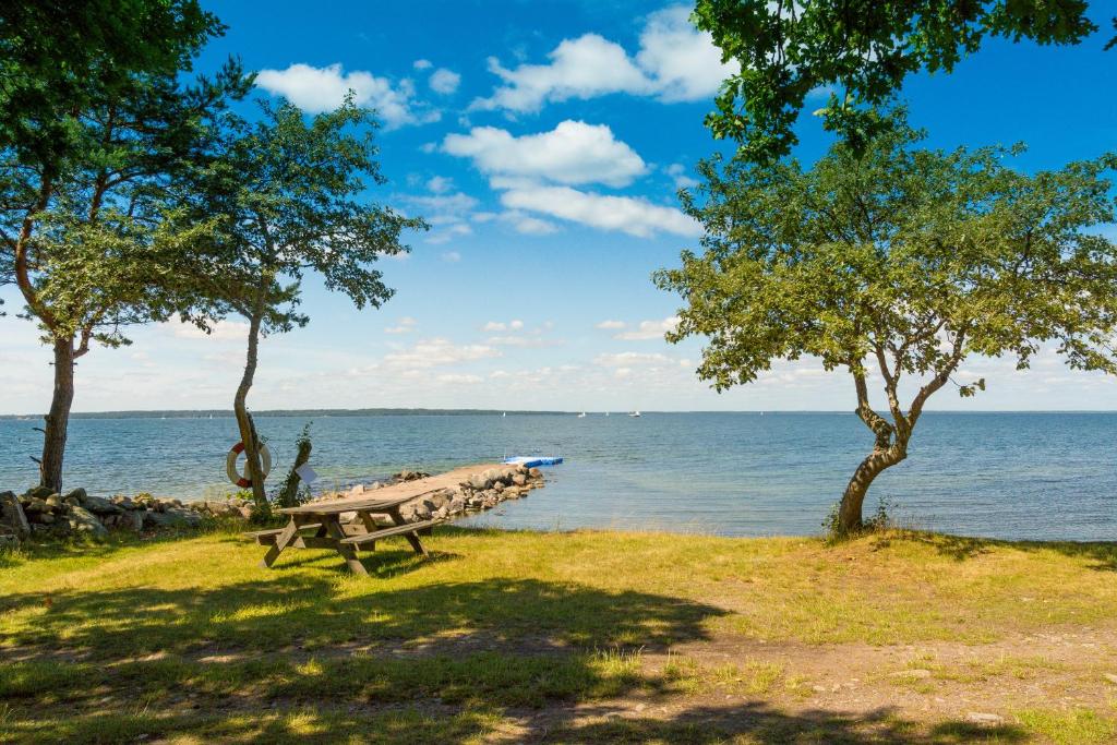 a park bench sitting on the grass near the water at First Camp Ekerum - Öland in Borgholm