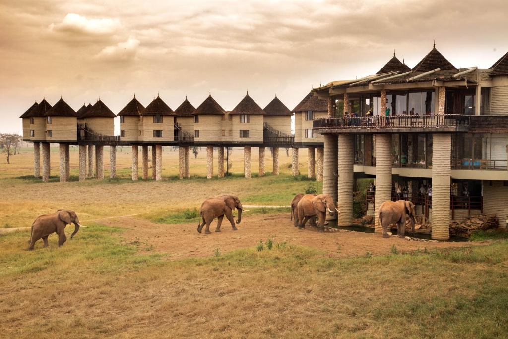 kenya safari lodge