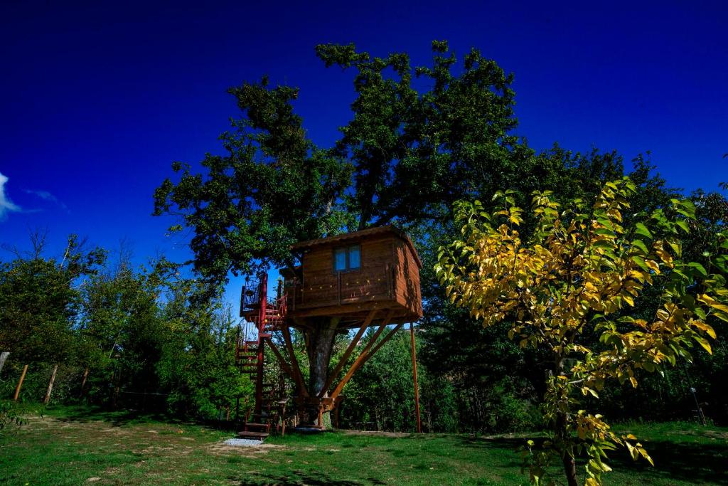 uma casa na árvore sentada em cima de uma árvore em Casa sull'albero Bocchineri em Rogliano