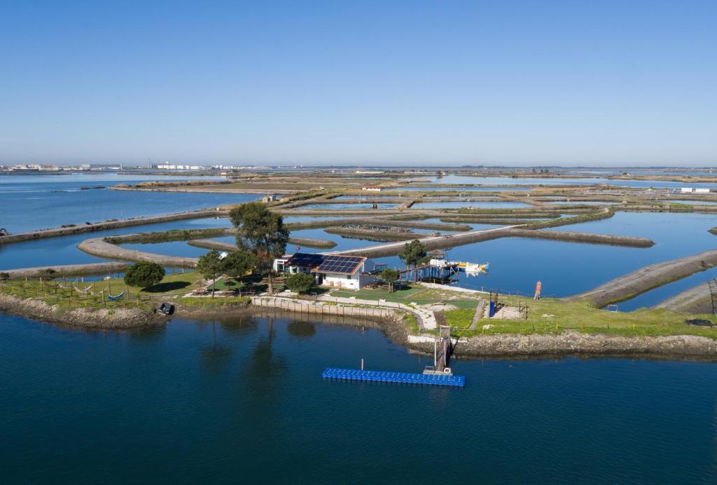 Barcos Casa OstrAveiro - 3