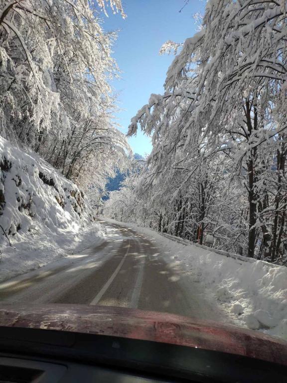 a car driving down a snow covered road with snow covered trees at Lodge Zeleni svet in Crni Vrh
