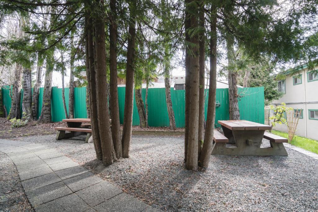 Robin Hood Inn and Suites - Resim 42