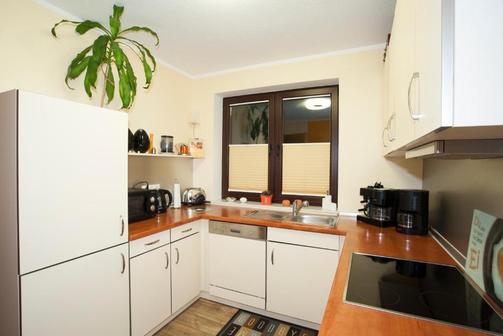 Landhaus Hof-Schlenstedt - Appartamento Con Terrazza