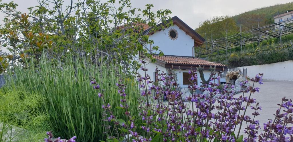 Zahrada ubytování Agriturismo Mare e Monti