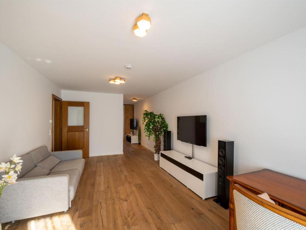 TV a/nebo společenská místnost v ubytování Ferienwohnung Buchenberg