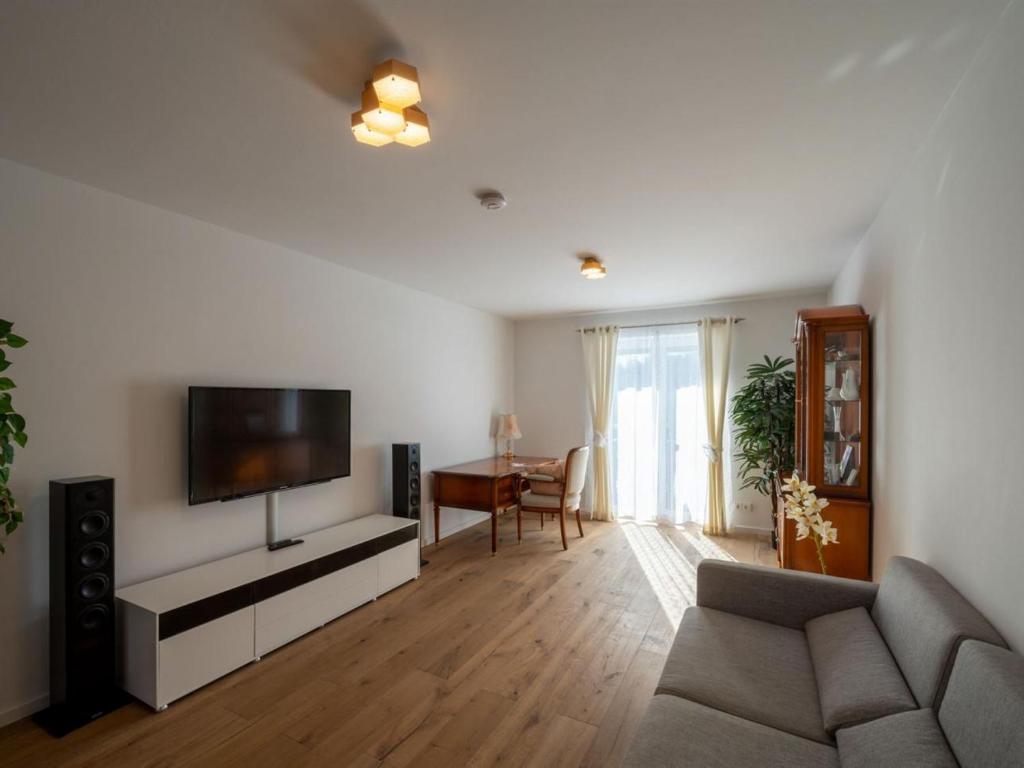 TV a/nebo společenská místnost v ubytování Ferienwohnung Buchenberg