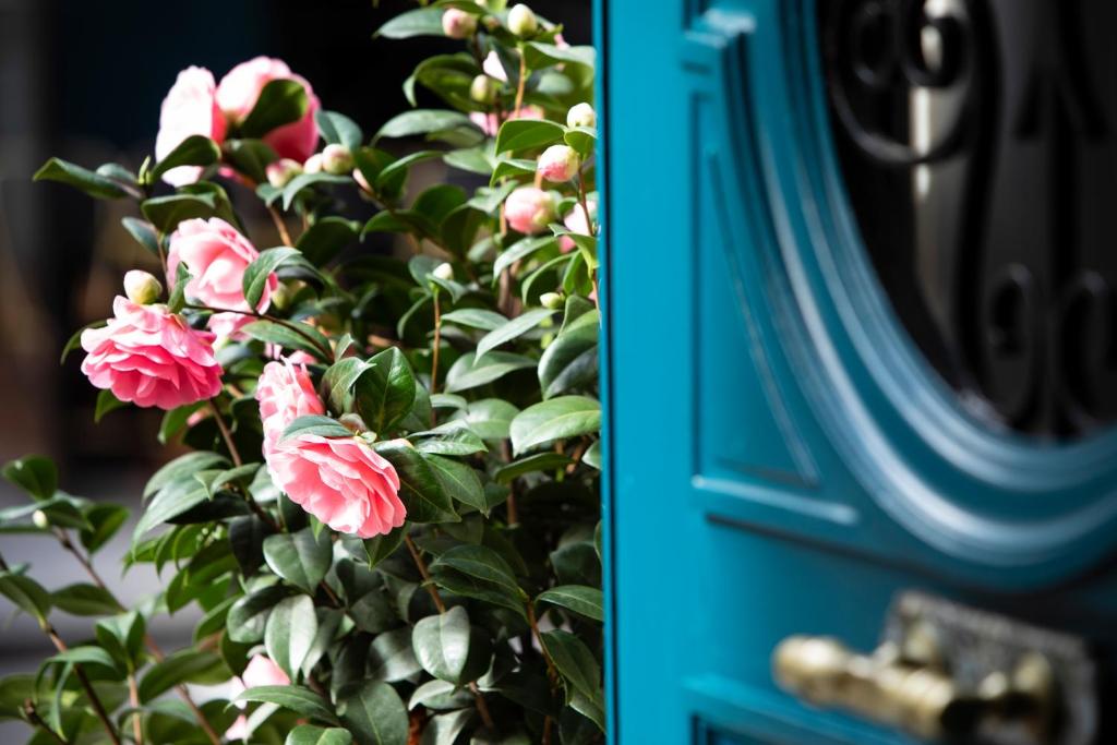 Odeon Hotel - Resim 21