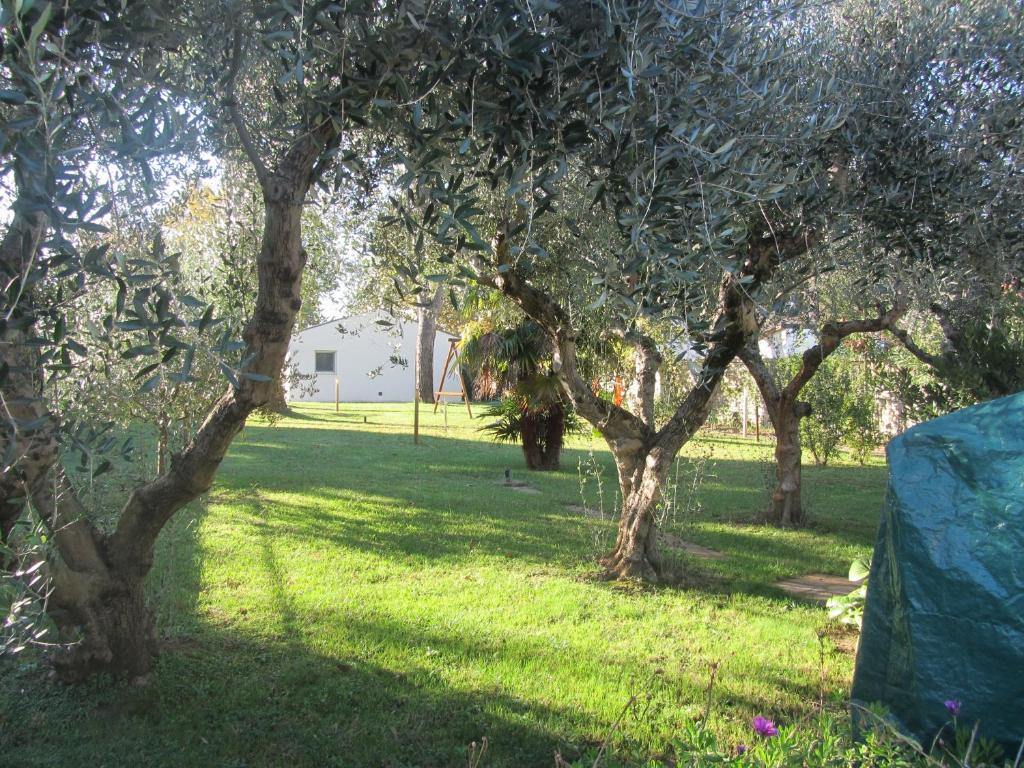 Zahrada ubytování B&B San Russorio