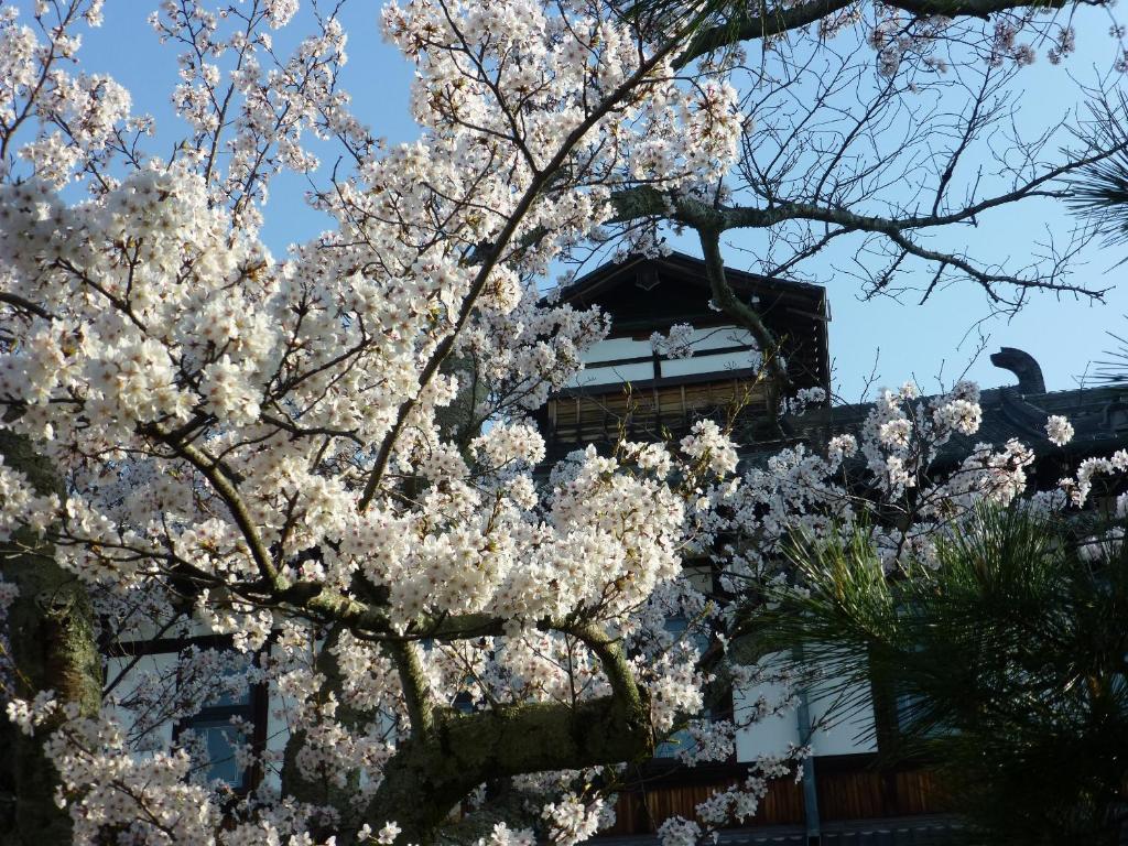 Fotografie z fotogalerie ubytování Nara Hotel v destinaci Nara