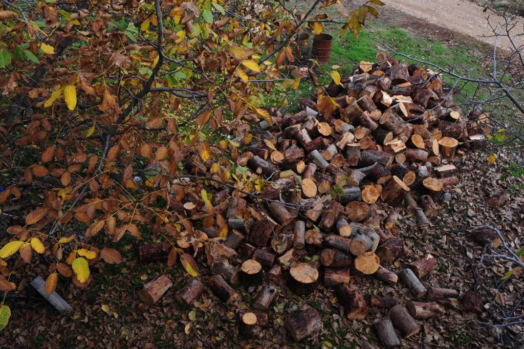 Gallery image of Trikalon Muses Art Suites in Synikia Mesi Trikalon