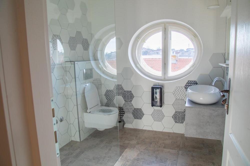 Domestic House Lola - 9