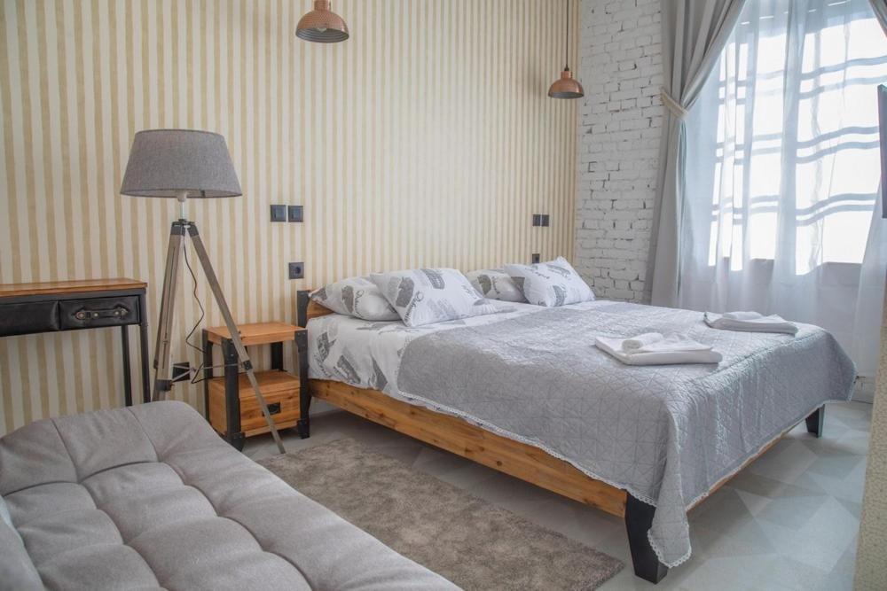 Domestic House Lola - 15