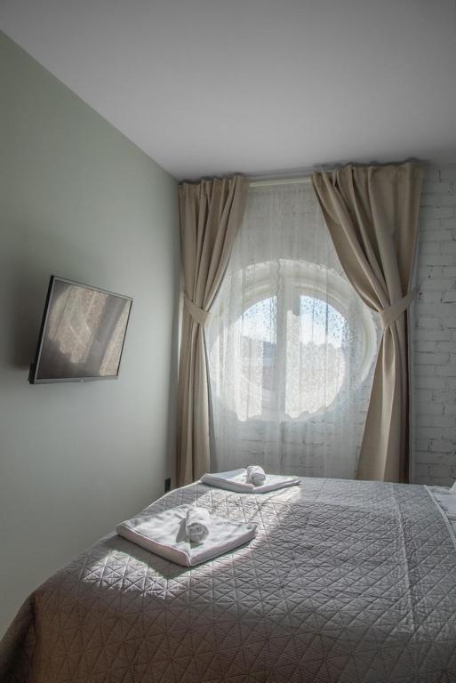 Domestic House Lola - 18