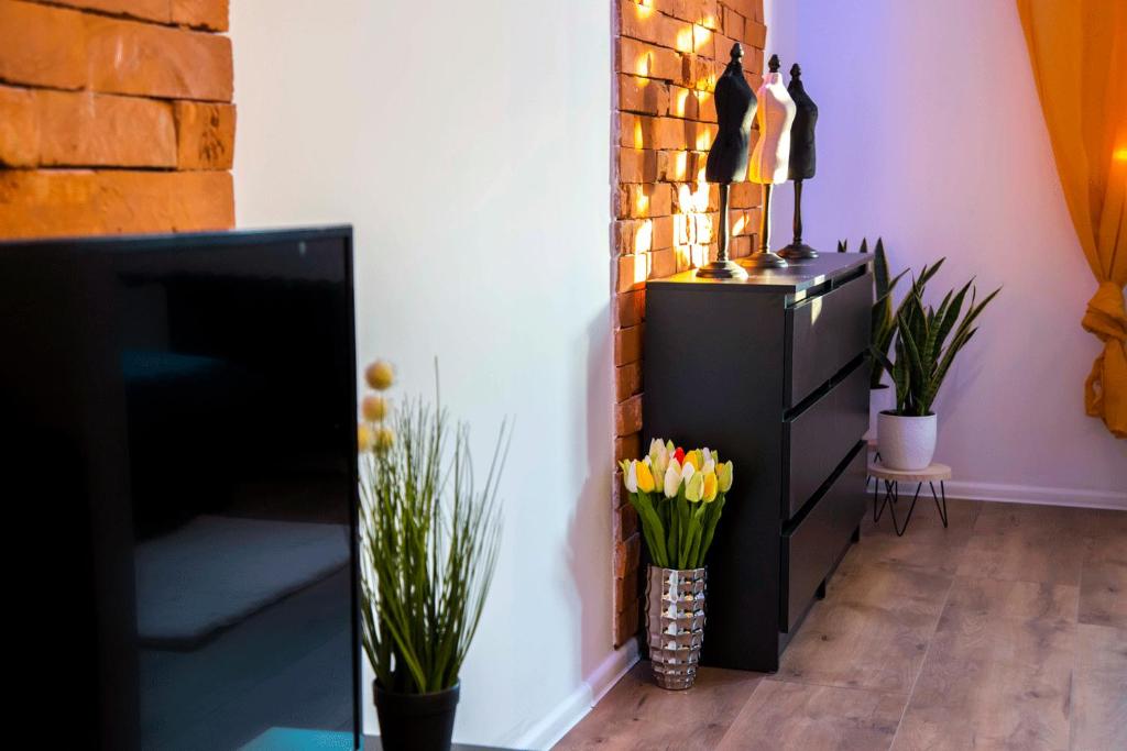 TV a/nebo společenská místnost v ubytování Apartament Gosia