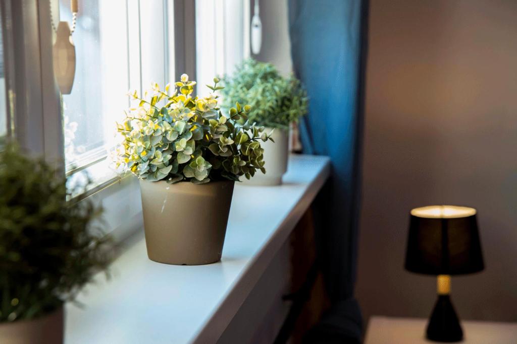 Fotografie z fotogalerie ubytování Apartament Gosia v destinaci Nysa