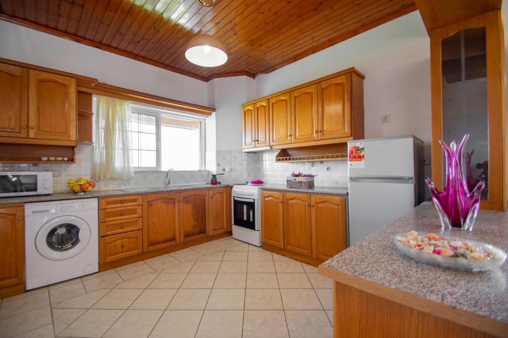 Kuchyňa alebo kuchynka v ubytovaní Family Private Homes & Sea View by "elite"