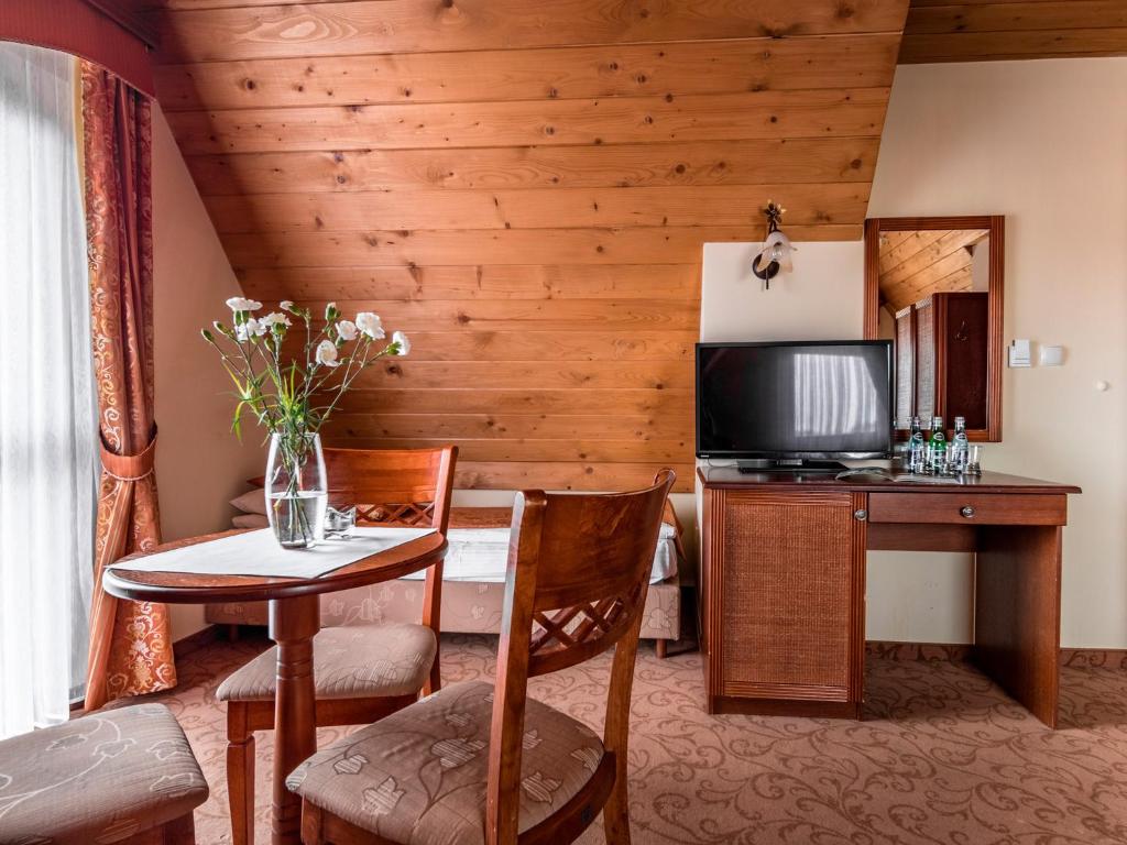 TV a/nebo společenská místnost v ubytování Villa Magnat SPA, JACUZZI, SAUNA, TĘŻNIA SOLANKOWA