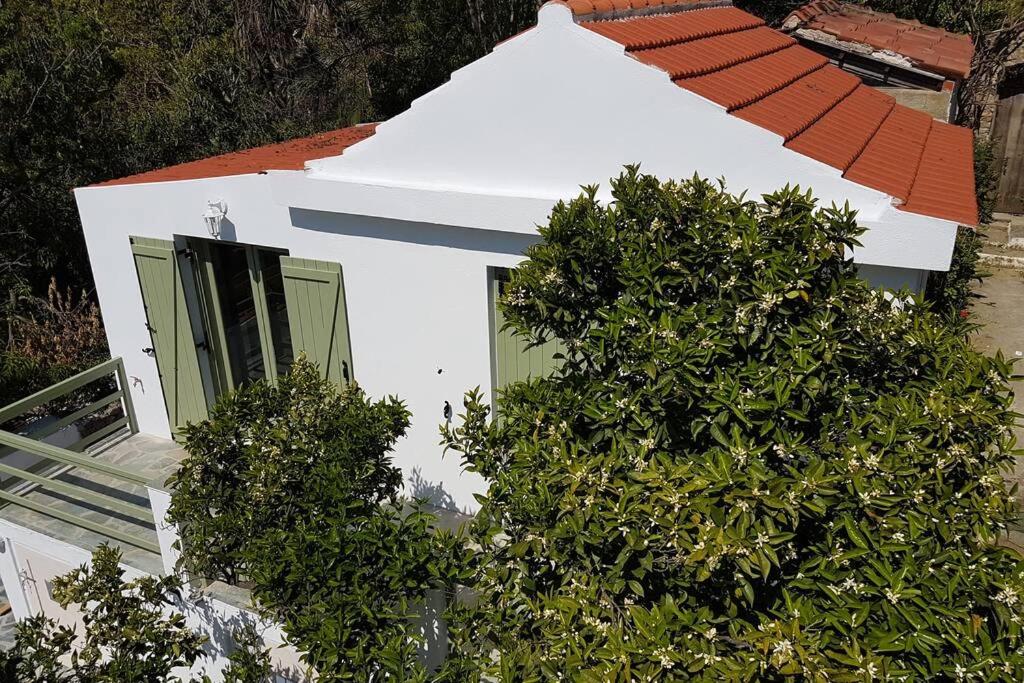 una casa blanca con una puerta abierta y algunos arbustos en Nefeli Traditional House, en Centro histórico de Alónnisos