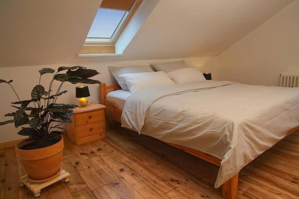 a bedroom with a bed and a potted plant at Ferienwohnung “Mount Meißner” in Germerode