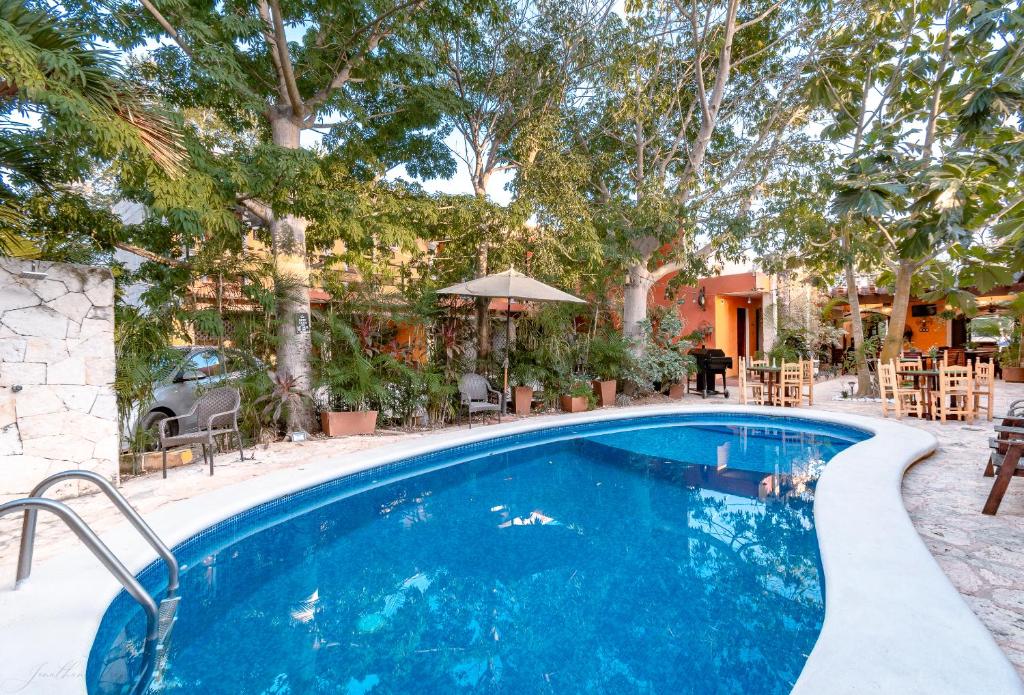 a swimming pool with chairs and tables and trees at El Zaguán Colonial by GuruHotel in Valladolid