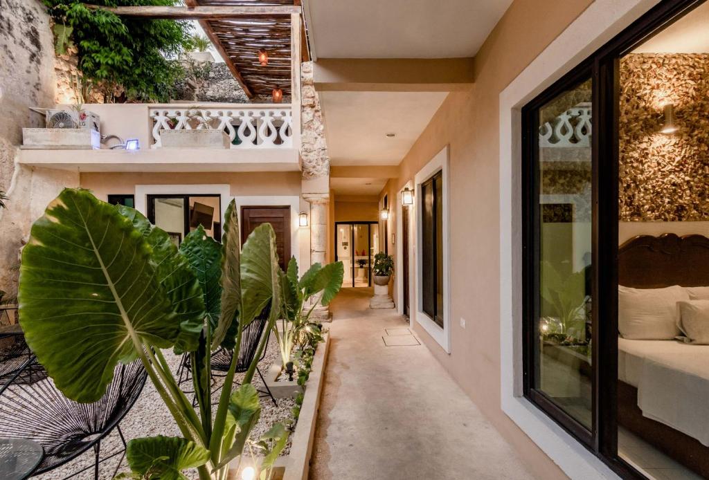 Zahrada ubytování Hotel Colonial Zaci by GuruHotel