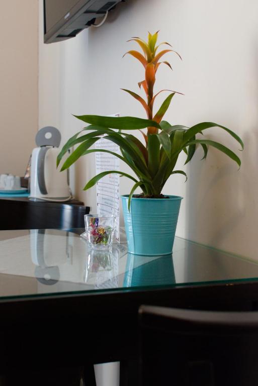 BedRooms Piotrkowska 64 - Resim 39