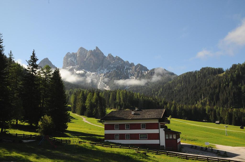 a house in a field with a mountain in the background at Appartments Kameriot in Braies