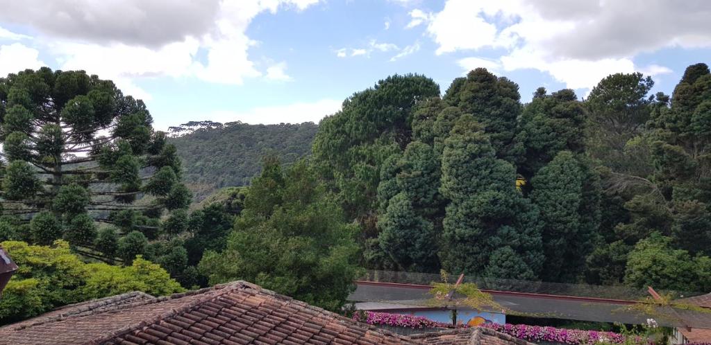  Hotel Toriba