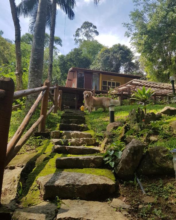  Espaço Viverde Penedo