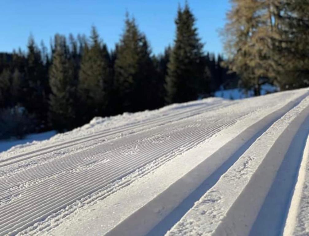 Feielhof v zime