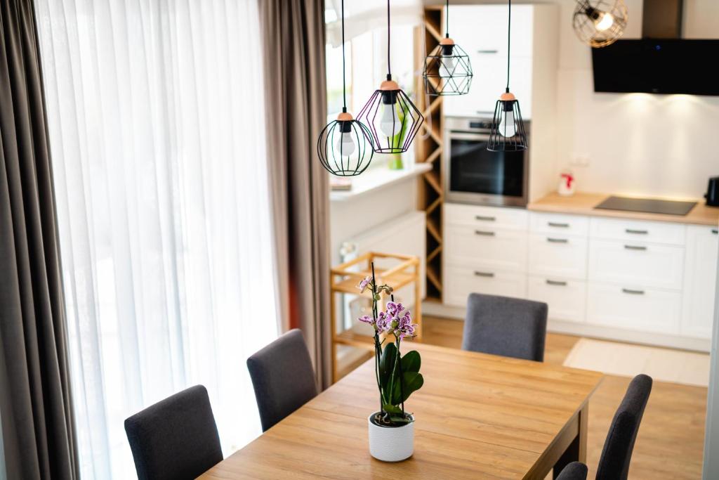 Kuchyňa alebo kuchynka v ubytovaní Apartamenty Wczasowa