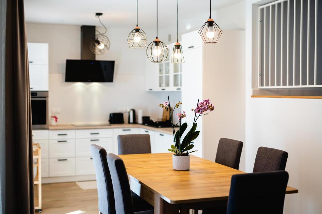 Kuchyňa alebo kuchynka v ubytovaní Apartamenty Wczasowa