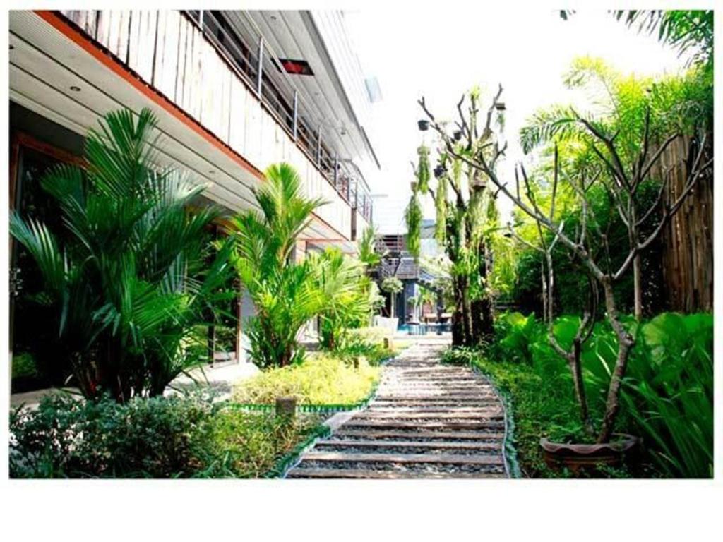 Nicky's Handlebar - Resim 21