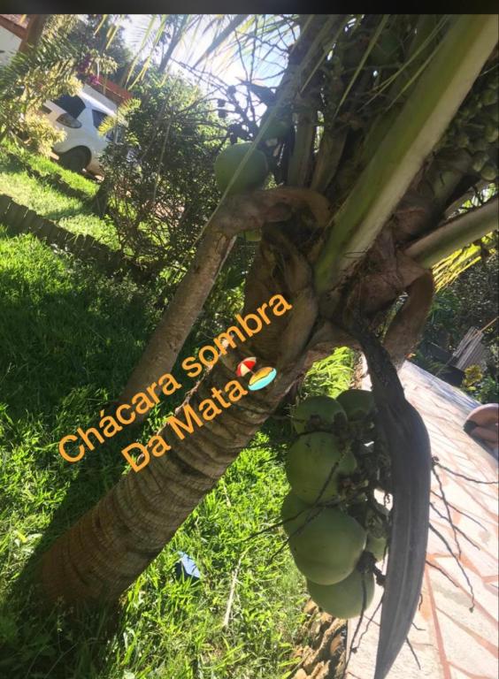  Chácara Sombra da Mata