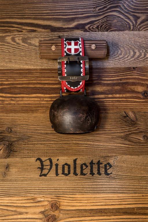 Fotografie z fotogalerie ubytování Le Refuge de la Traye v destinaci Méribel