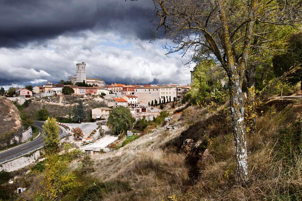 una ciudad en la cima de una colina con un árbol en Hotel Rural El Salero, en Torija