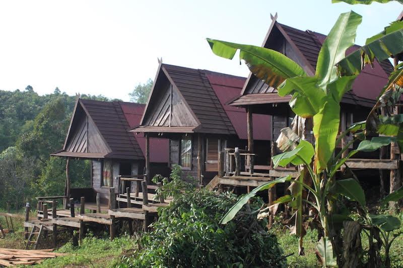 a row of wooden cottages in a forest at Tree Lodge in Sen Monorom