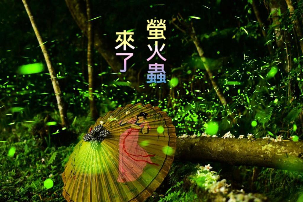 un paraguas con una foto de una mujer en él en Green Shine B&B, en Nanzhuang