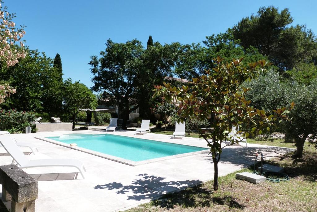 a swimming pool in a yard with chairs and a tree at Le Mas du Lac in Saint-Rémy-de-Provence