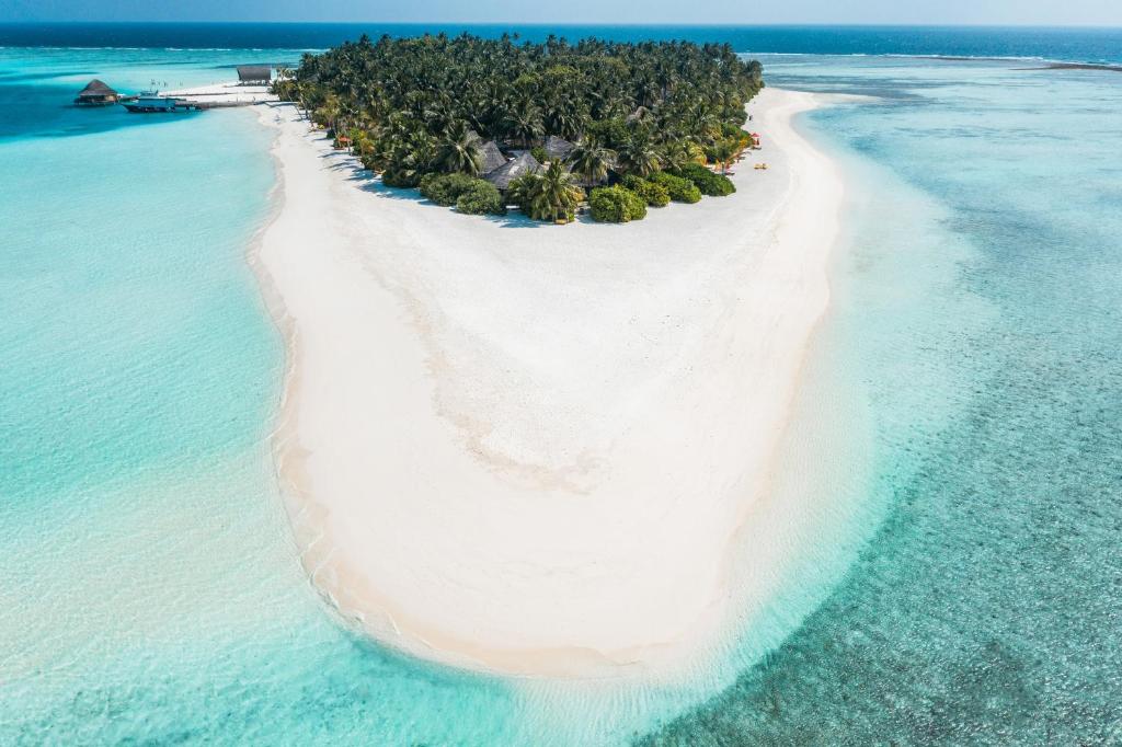 Angsana Velavaru InOcean Villas - Free Return Seaplane Transfers - View 46