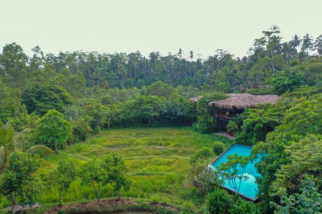 an aerial view of a villa with a pool in a field at Jetwing Kurulubedda in Galle