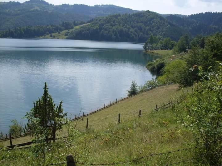a view of a large lake with a fence at Vikendica Jagoš in Mitrovac